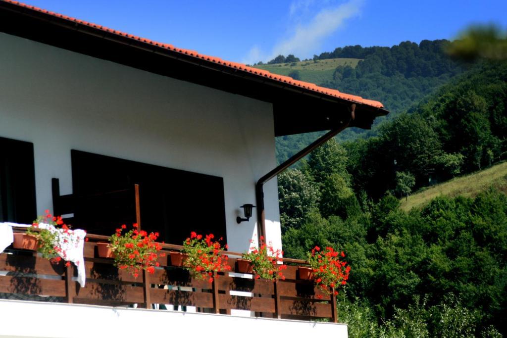 Spa Hotel Planinata Ribarica Zimmer foto