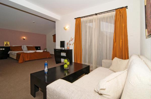 Spa Hotel Planinata Ribarica Zimmer foto